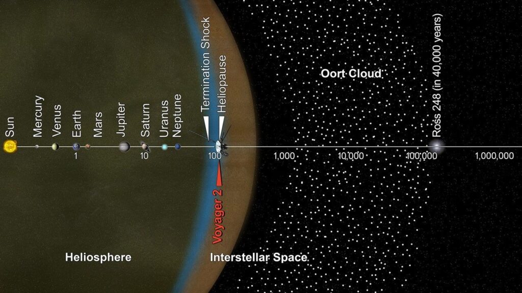 The Oort Cloud