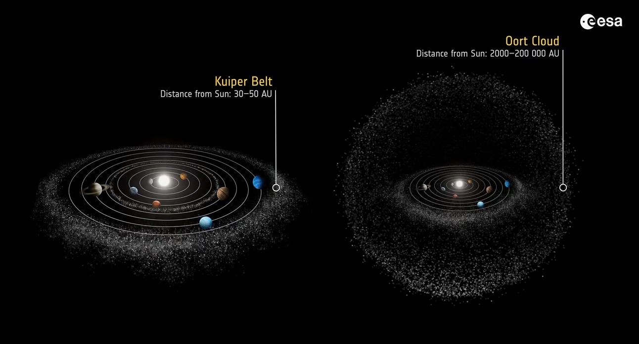 The Oort Cloud