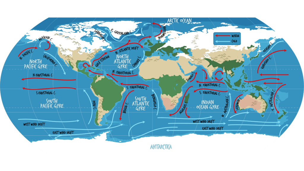 The Coriolis Effect