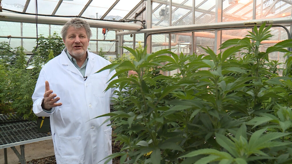 Dr. Bruce Bugbee
