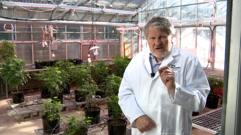 Dr. Bruce Bugbee
